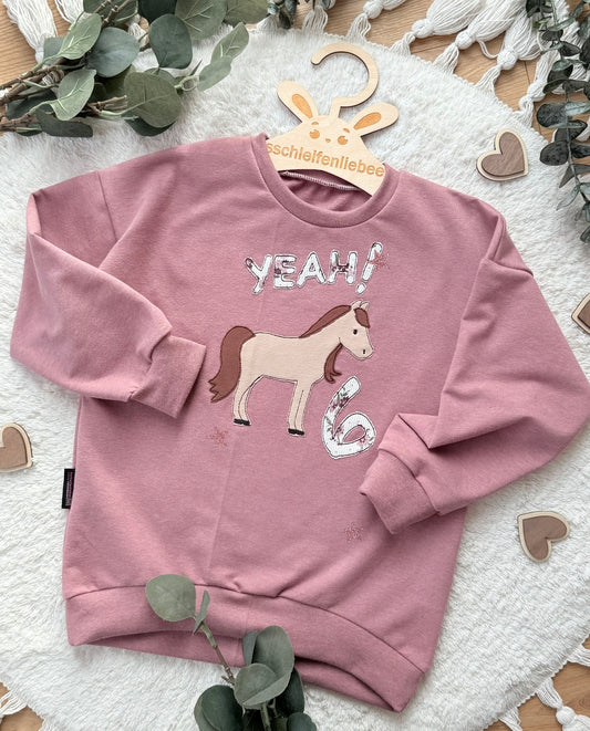 Geburtstagspullover | Pferd | Pony | Oversized Sweater