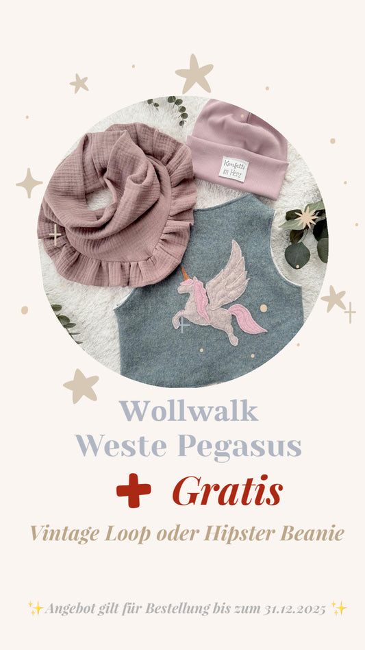 Handmade Weste Kinder | Wollwalk | Walkweste | Pegasus Applikation