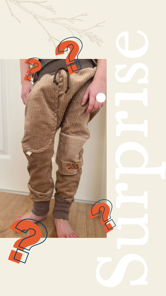 Surprise | Regular Fit Jogger