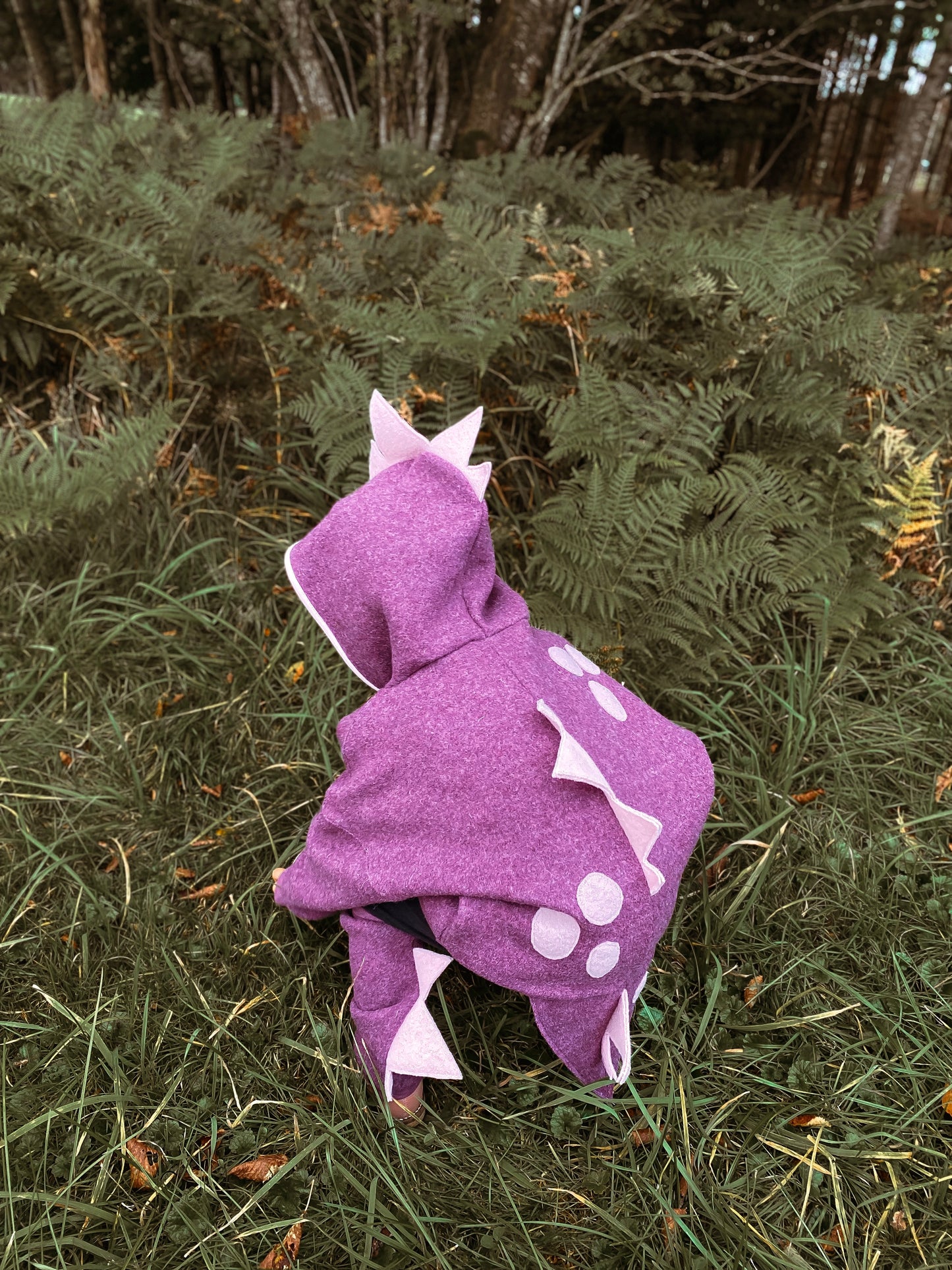 Oversized Windbreaker | Dino  | 100% Schurwolle