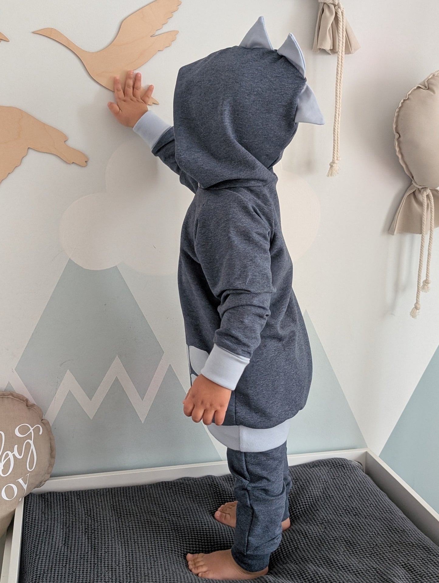 Raglan Sweater | Dino