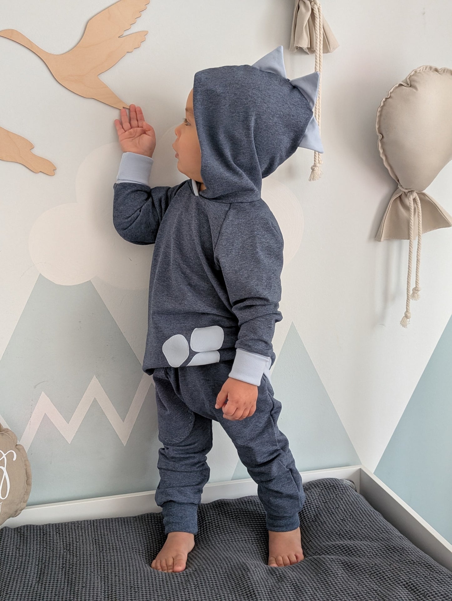Raglan Sweater | Dino