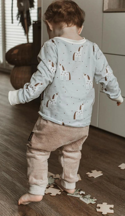 Longsleeve | Einhorn